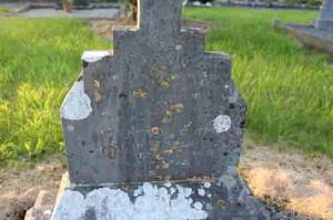 Walsh Elizabeth Clonalis